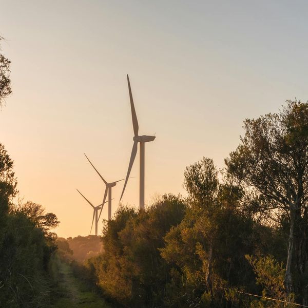 Person stretching outdoors at sunrise, symbolizing renewal and energy.